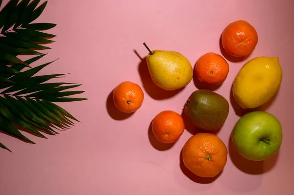 Zusammensetzung Aus Verschiedenen Frischen Früchten Und Palmblättern Auf Hellem Hintergrund — Stockfoto