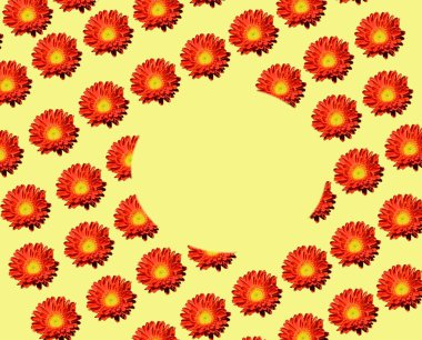 Güzel Gerbera çiçekleriyle kusursuz desen, romantik konsept, yakın görüş   