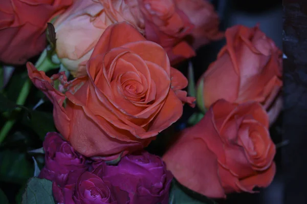 Bukiet Pięknych Róż Romantyczna Koncepcja Widok Bliska — Zdjęcie stockowe