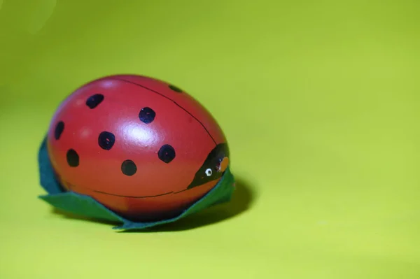 Decorative Painted Ladybug Easter Egg Green Leaf Close View Happy — Stock Photo, Image