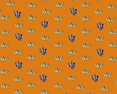 Taze zencefil kökleriyle kusursuz desen, yakın görüş.