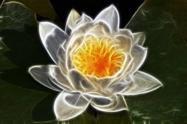 İnanılmaz çiçeklerin açtığı yere yakın.