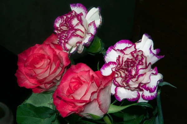 Bulanık Arkaplanda Güzel Çiçekler Yakın Görüş — Stok fotoğraf
