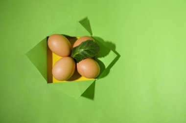 Yumurta ve yeşil yapraklı açık kağıdın yaratıcı kompozisyonu, yakın görüş, Paskalya konsepti 