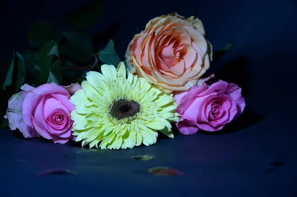 Gyönyörű Virágok Sötét Háttérrel Közelről — Stock Fotó