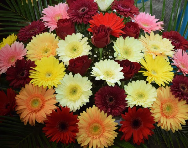 Bouquet Belle Rose Fiori Gerbera Sfondo Scuro Vista Vicino — Foto Stock