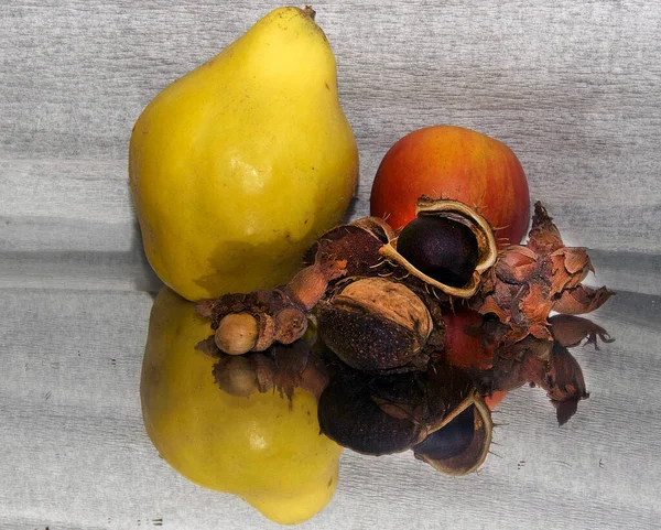 Pile Châtaignes Aux Pommes Poires Aux Glands Vue Rapprochée Concept — Photo