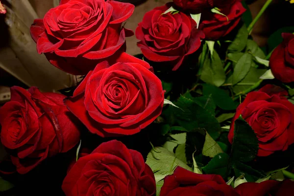 Strauß Schöner Rosen Auf Dunklem Hintergrund Sommerkonzept Nahsicht — Stockfoto