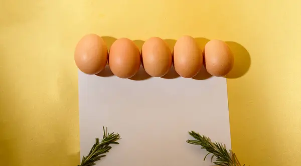 Taze Yumurta Boş Beyaz Kağıt Kart Yeşil Biberiye Yakın Görüş — Stok fotoğraf