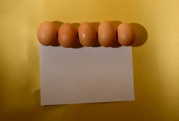 Taze Yumurta Boş Kağıt Kart Yakın Görüş — Stok fotoğraf