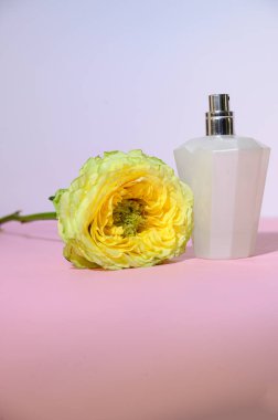 Parfüm şişeli bir çiçeğin romantik kompozisyonu, Sevgililer Günü konsepti 