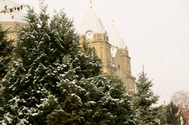 Kış sabahı caddenin yakınındaki karla kaplı ağaçların manzarası, yakın görüş.