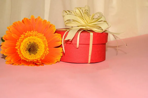 Romantic Composition Flower Gift Box Valentine Day Concept — Stock Photo, Image