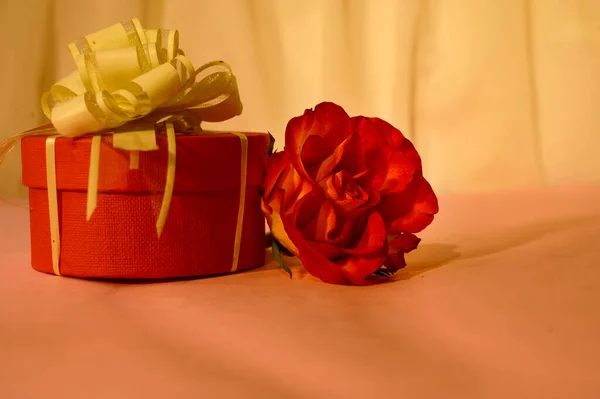 Ρομαντική Σύνθεση Του Τριαντάφυλλου Λουλούδι Κουτί Δώρου Έννοια Ημέρα Του — Φωτογραφία Αρχείου