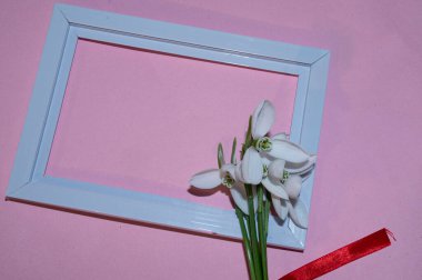 Çerçeveli kardelen çiçeklerinin romantik bileşimi, Sevgililer Günü konsepti 