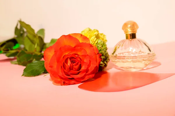 Romantische Komposition Von Blumen Mit Parfümflasche Valentinstag Konzept — Stockfoto