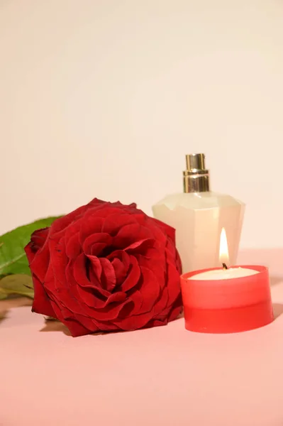 Composizione Romantica Fiore Con Bottiglia Profumo Concetto San Valentino — Foto Stock