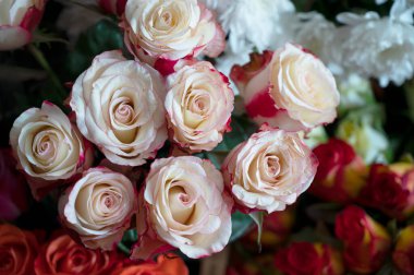 Hafif arka planda bir buket taze gül, romantik konsept, yakın görüş  