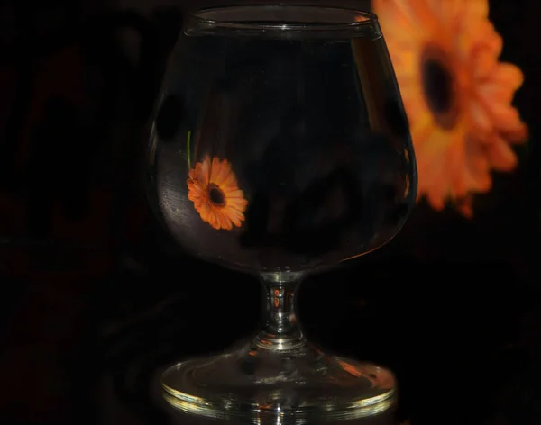 Wijnglas Met Bloem Spiegelachtergrond Close View — Stockfoto