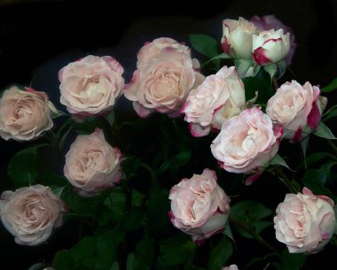 Güzel güller, kapatın.