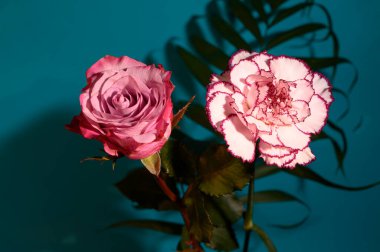 güzel karanfil ve gül çiçekleri ve renkli arka planda palmiye yaprağı, bahar konsepti, yakın görüş  