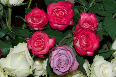 Bir buket güzel çiçek, yaz konsepti, yakın manzara.   