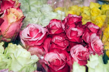 Yazın güneşli bir günde, güzel bir buket çiçek, yakın manzara. 