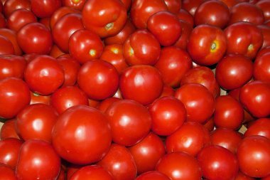Markette kiraz domatesleri, yakın çekim.