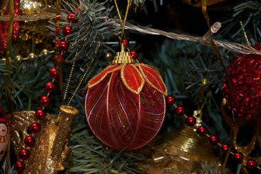 Köknar ağacı dalları üzerine yeni Noel süslemeleri, bayram konsepti  