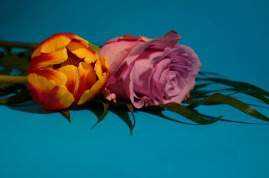 güzel lale ve gül çiçekleri ve arka planda palmiye yaprağı, bahar konsepti, yakın görüş  