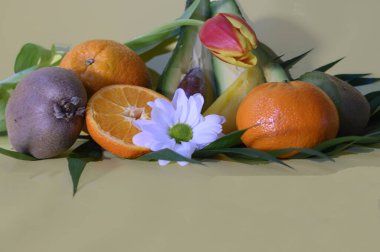 Renkli arka planda palmiye yaprağı ve çiçekli olgun egzotik meyve seti, sağlıklı gıda konsepti 