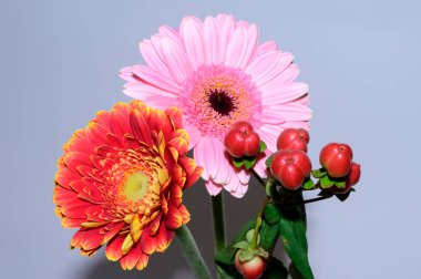 Işık arkaplanda güzel çiçekler, yaz konsepti, yakın manzara  