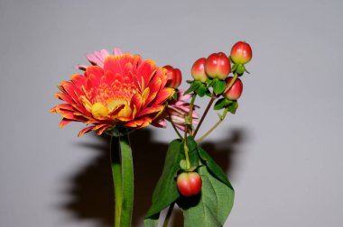 Işık arkaplanda güzel çiçekler, yaz konsepti, yakın manzara  