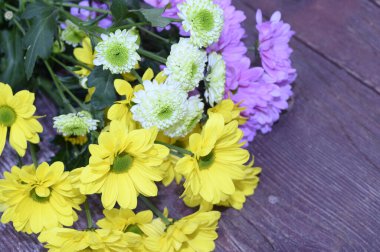 Koyu arkaplanda güzel Gerbera çiçekleri, bahar konsepti, yakın görüş  