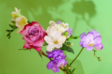 Yeşil arka planda güzel çiçekler, bahar konsepti, yakın manzara  