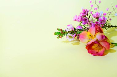 Parlak arka planda güzel çiçekler, bahar konsepti, yakın manzara  