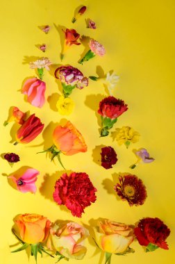 Parlak arkaplanda çiçeklerin güzel kompozisyonu, bahar konsepti, yakın görüş  