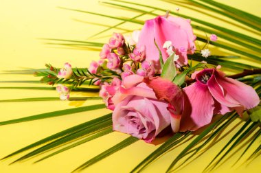 Parlak arka planda güzel çiçekler, bahar konsepti, yakın görüş  