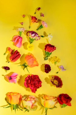 Parlak arkaplanda çiçeklerin güzel kompozisyonu, bahar konsepti, yakın görüş  