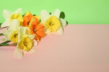 Açık arkaplanda çiçeklerin şenlikli bileşimi, yakın görüş, kadın günü konsepti 