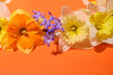 Parlak arkaplanda çiçeklerin şenlikli kompozisyonu, yakın görüş, kadın günü konsepti 