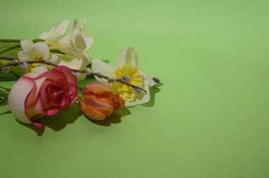 Parlak arka planda güzel çiçekler, bahar konsepti, yakın manzara  