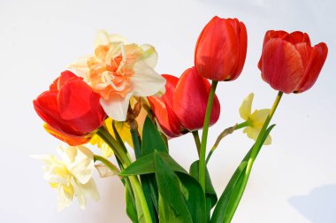 Işık arkaplanda güzel çiçekler, bahar konsepti, yakın manzara  