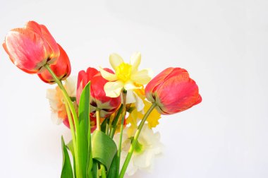 Işık arkaplanda güzel çiçekler, bahar konsepti, yakın manzara  