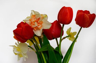 Işık arkaplanda güzel çiçekler, bahar konsepti, yakın manzara  