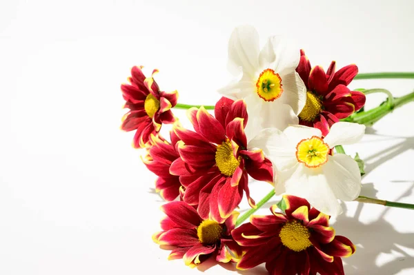 Buquê Flores Bonitas Fundo Claro Conceito Primavera Vista Perto — Fotografia de Stock