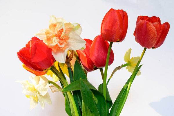 букет красивых цветов на светлом фоне, весенняя концепция, близкий вид  