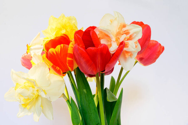 букет красивых цветов на светлом фоне, весенняя концепция, близкий вид  