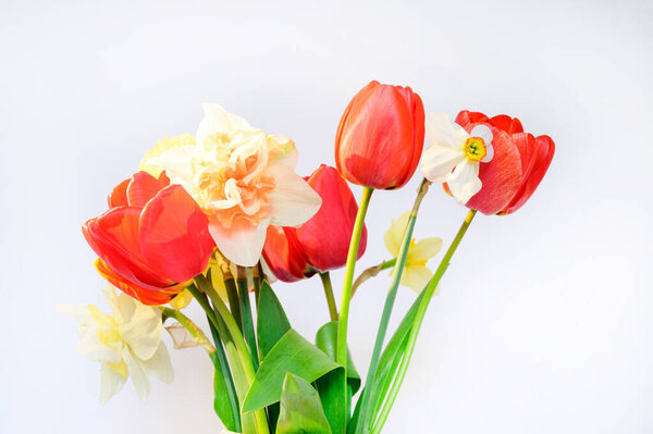 букет красивых цветов на светлом фоне, весенняя концепция, близкий вид  