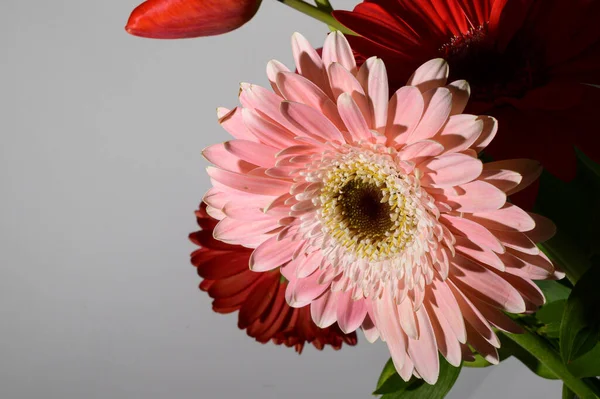 Blumenstrauß Auf Hellem Hintergrund Frühjahrs Und Muttertagskonzept Nahsicht — Stockfoto